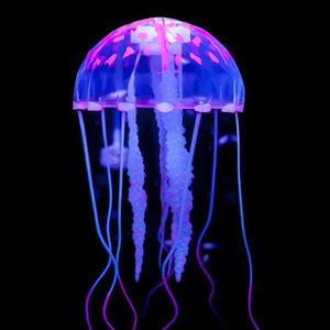 Meet your Posher, Just another viewer